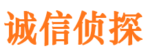 翠屏市私家侦探